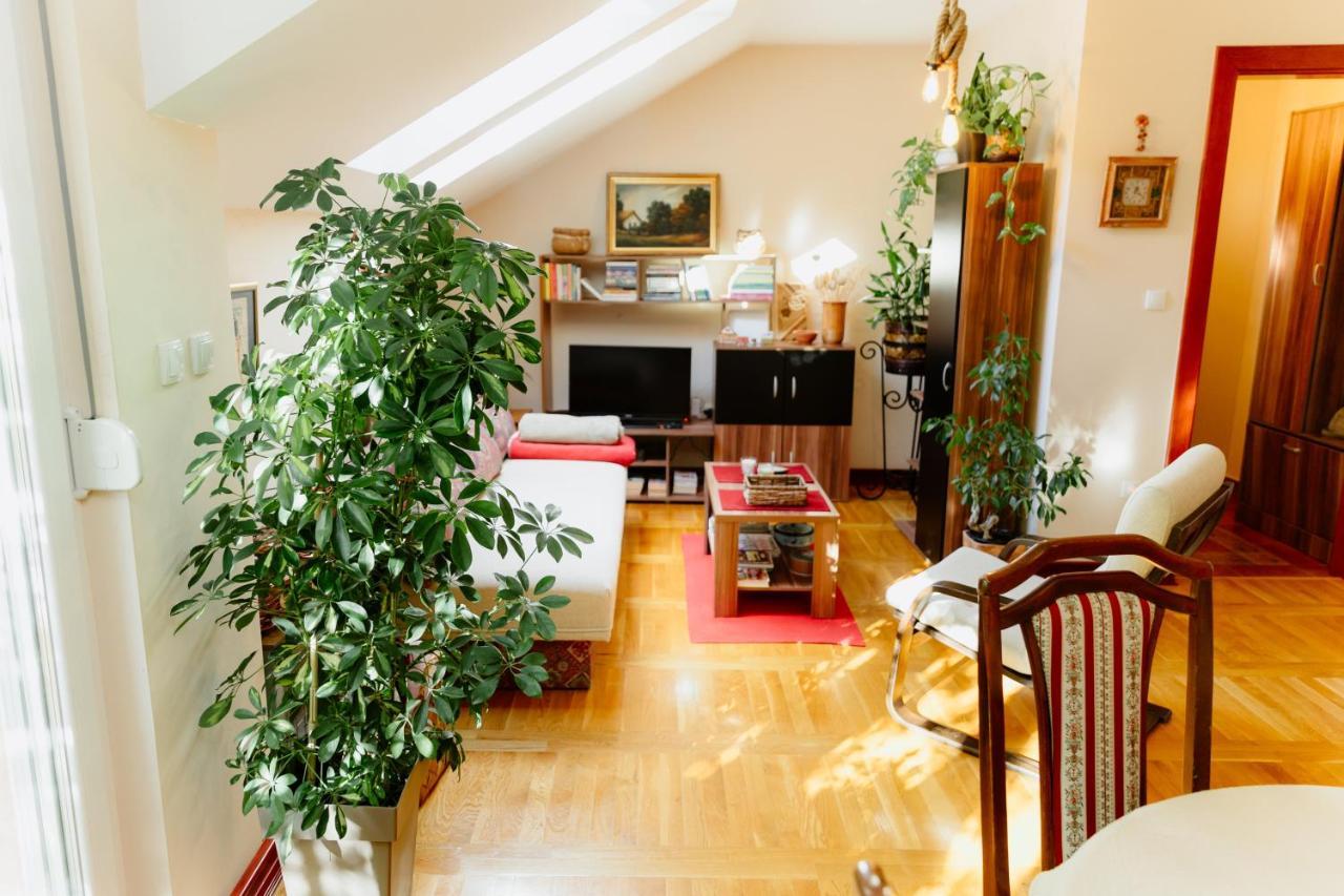 Apartman Zamak Σόμπορ Εξωτερικό φωτογραφία